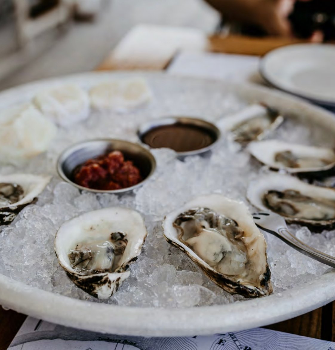 Oysters on ice on plate