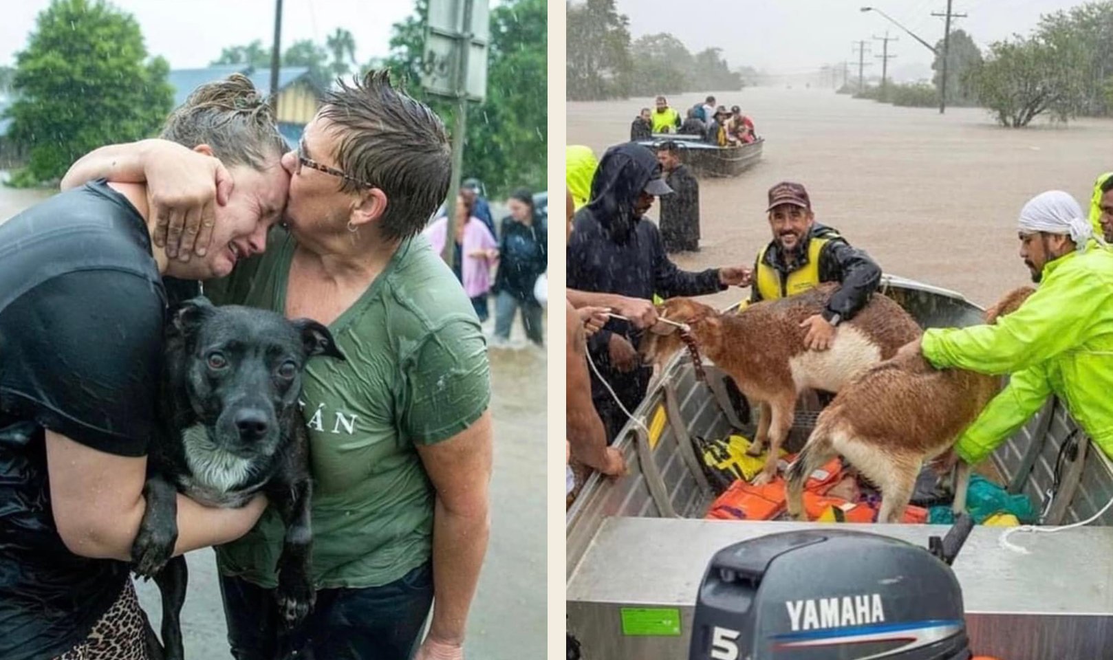 2 images of the floods in the Northern Rivers. The Image on the lefts shows 2 women hugging, one of them crying, holding a dog. The image on the right shows men in a boat with goats that they have rescued.